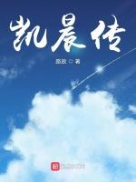 凯晨传