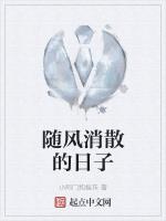 随风消散的日子