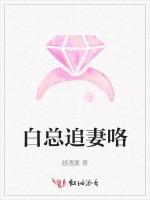 白总追妻咯