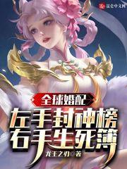 全球婚配：左手封神榜右手生死簿作品封面