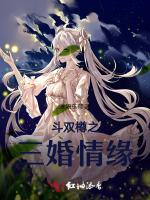 斗双樽之三婚情缘