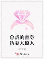 总裁的替身娇妻太撩人