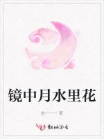 镜中月水里花
