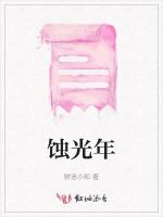 蚀光年