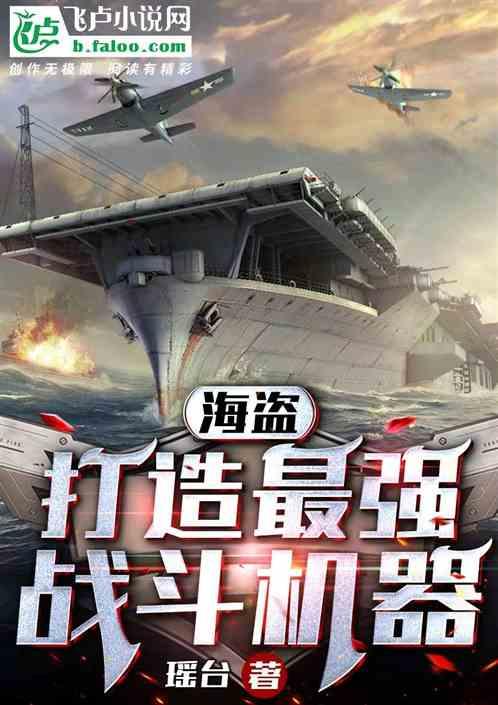 海盗：打造最强战斗机器作品封面