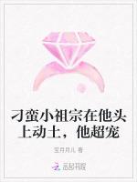 刁蛮小祖宗在他头上动土，他超宠