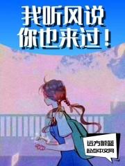 我听风说你也来过！作品封面