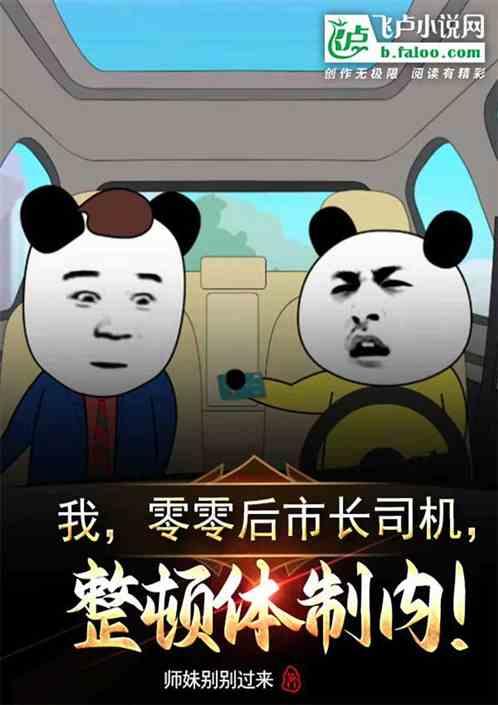 我，零零后市长司机，整顿体制内作品封面
