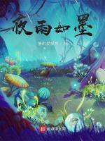 夜雨如墨