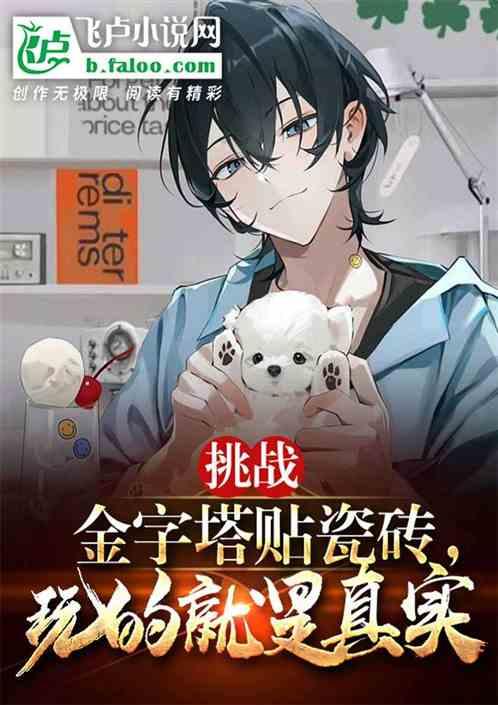 挑战金字塔贴瓷砖，玩的就是真实作品封面