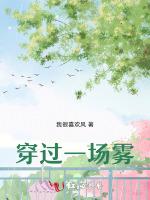 穿过一场雾
