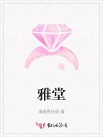 雅堂作品封面