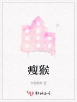 瘦猴作品封面