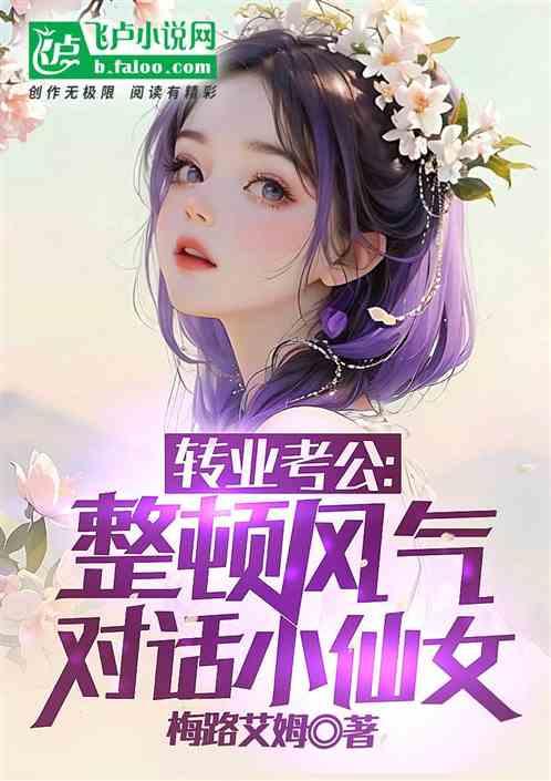 转业考公：整顿风气，对话小仙女作品封面