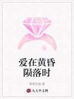 爱在黄昏陨落时