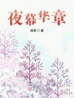 夜幕华章