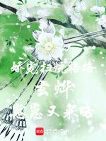 娇宠扫炕格格：玄烨，崽崽又来咯