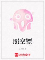 照空镖