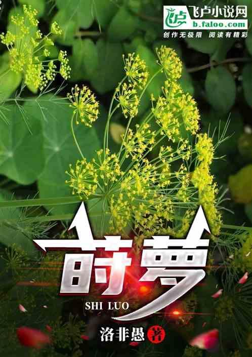 莳萝作品封面