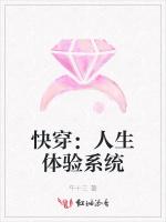 快穿：人生体验系统