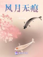 风月无痕
