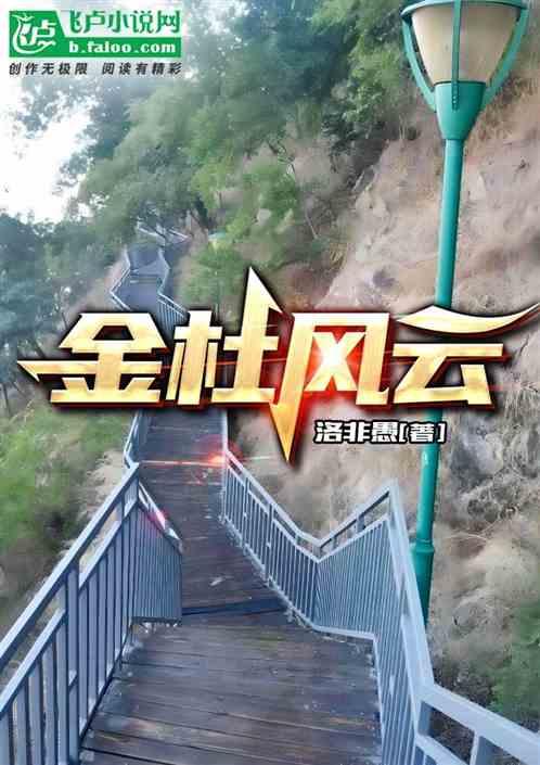 金杜风云作品封面