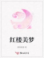 红楼美梦