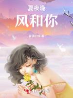 夏夜晚风和你