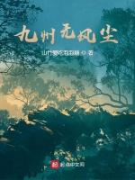 九州无风尘