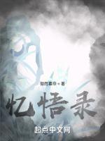 忆悟录