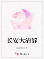 长安大清辞