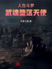 人在斗罗，武魂堕落天使作品封面