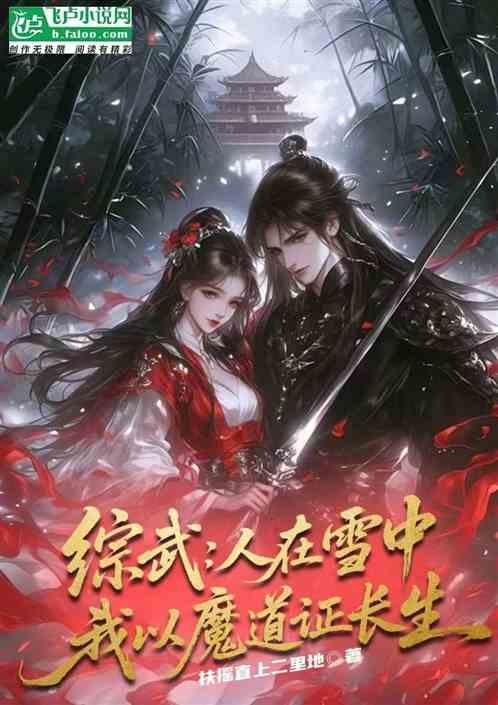综武：人在雪中，我以魔道证长生作品封面