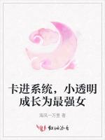 卡进系统，小透明成长为最强女