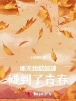 那天，我踮起脚碰到了青春