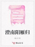 澄南阳雁归