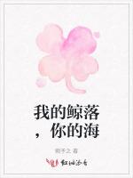 我的鲸落，你的海