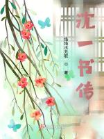 沈一书传