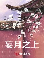 妄月之上