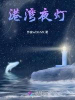 港湾夜灯