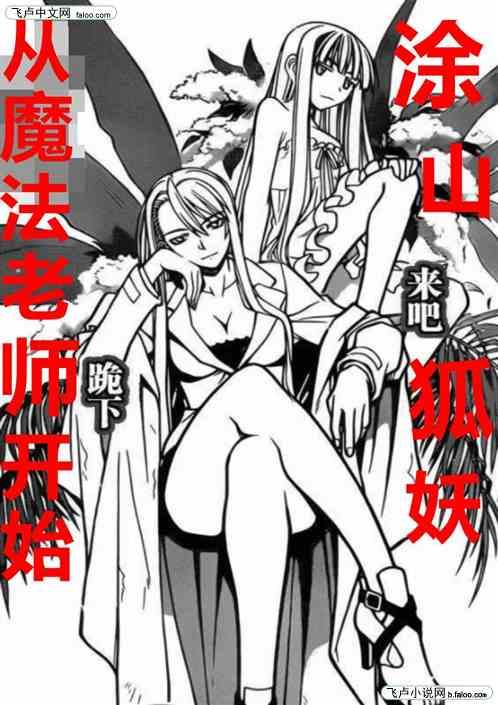 从魔法老师开始作品封面