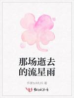 那场逝去的流星雨