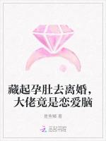 藏起孕肚去离婚，大佬竟是恋爱脑