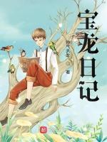 宝龙日记