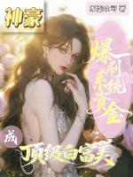 神豪：爆刷系统资金成顶级白富美