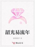 韶光易流年