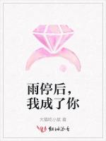 雨停后，我成了你