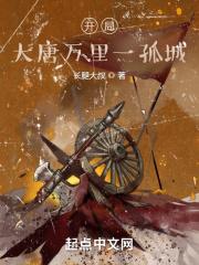 开局：大唐万里一孤城作品封面
