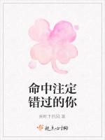 命中注定错过的你