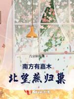 南方有嘉木，北望燕归巢作品封面
